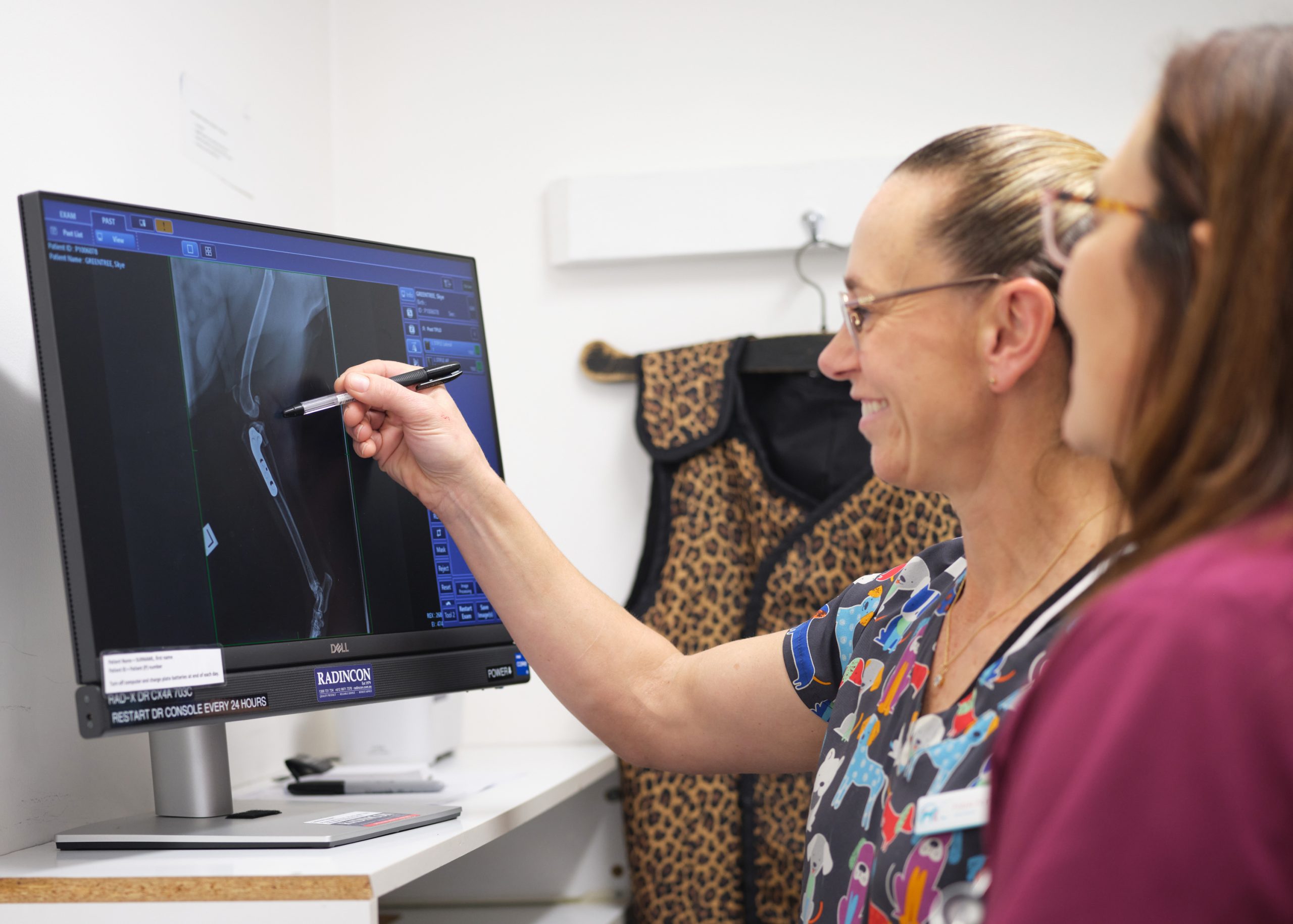 Vet assessing a pet's leg X ray during a lameness investigation