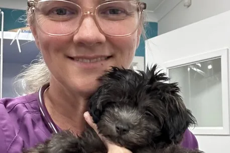 Aiko as a 9-week-old Moodle puppy with Dr Nicole during her first dental procedure.